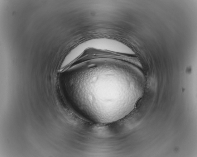X0000091530283200709141441
