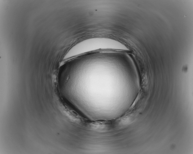 X0000091530284200709141441