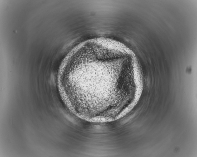 X0000091530286200709141441