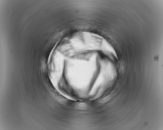 X0000091530287200709141441