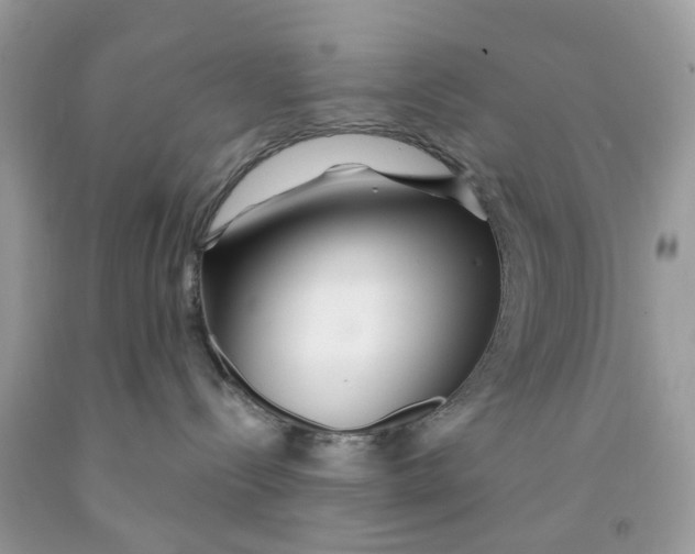 X0000091530288200709141441