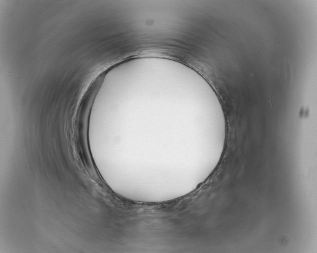 X0000091530289200709141441