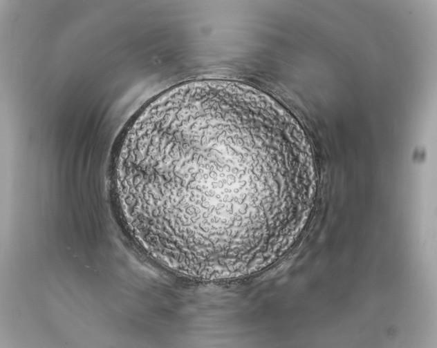X0000091530290200709141441