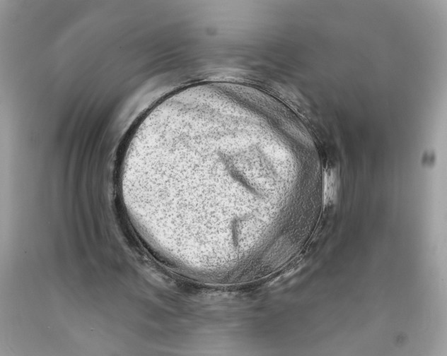 X0000091530291200709141441