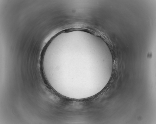 X0000091530292200709141441