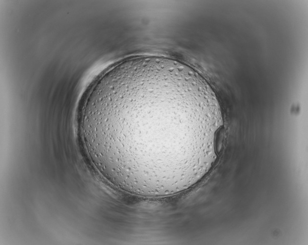 X0000091530294200709141441