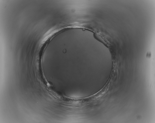 X0000091530295200709141441