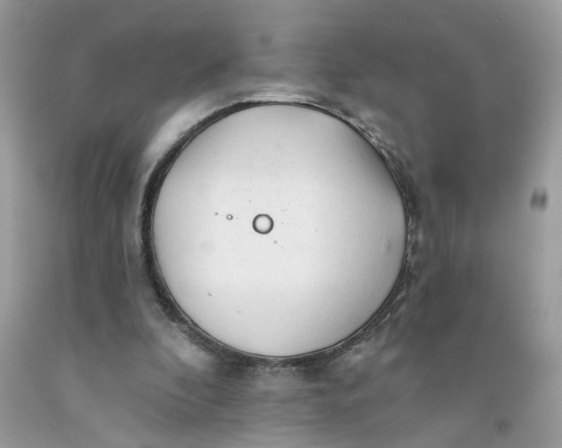 X0000091530296200709141441