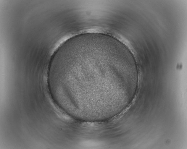 X0000091530297200709141441