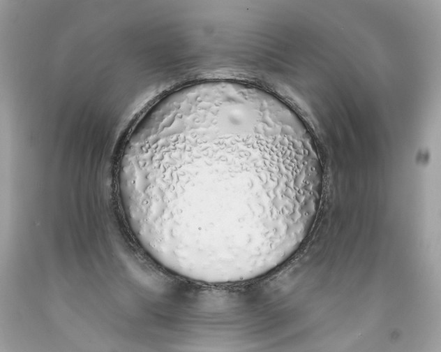 X0000091530298200709141441