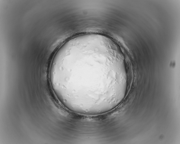 X0000091530299200709141441