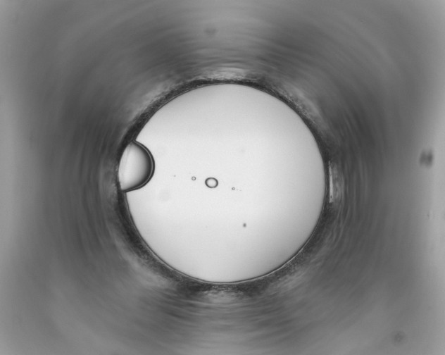 X0000091530300200709141441