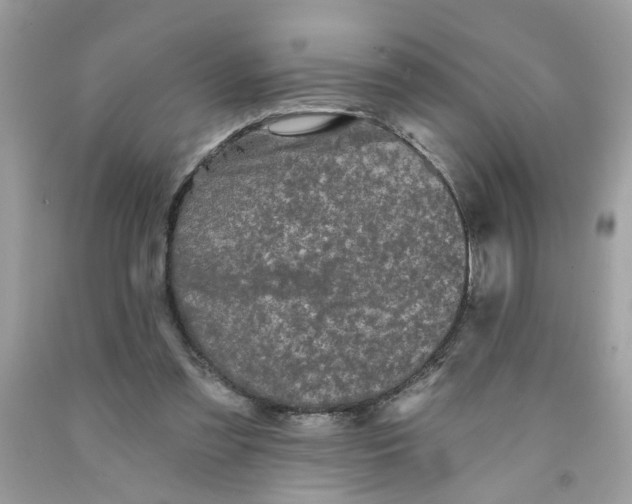 X0000091530301200709141441
