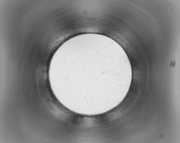 X0000091530302200709141441