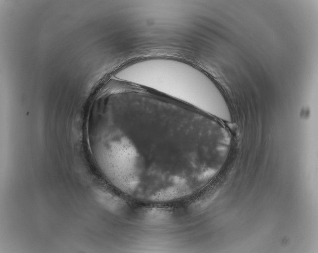 X0000091530303200709141441