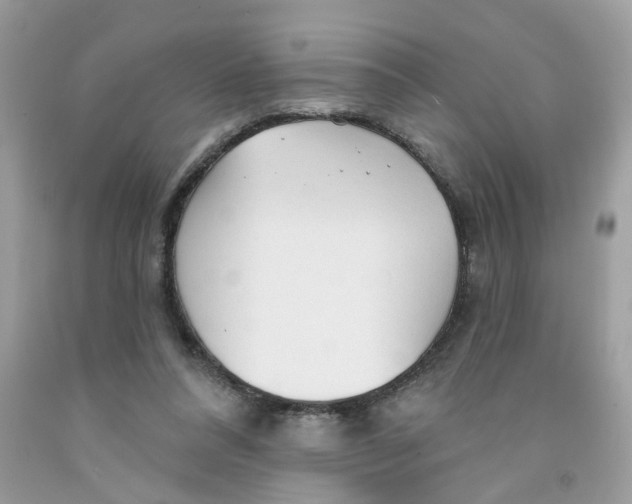 X0000091530304200709141441