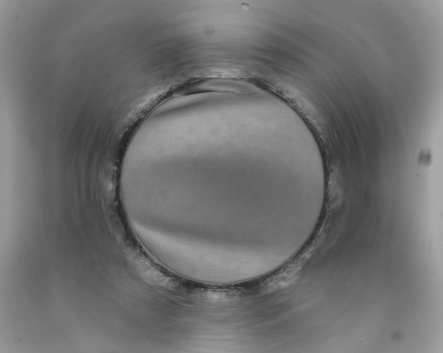 X0000091530305200709141441