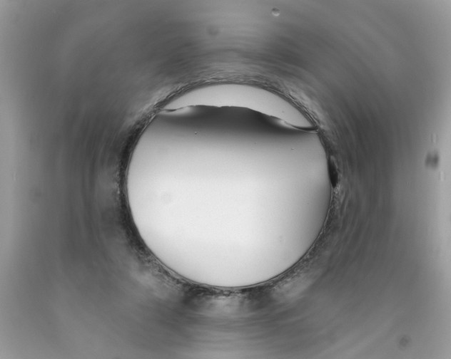 X0000091530306200709141441