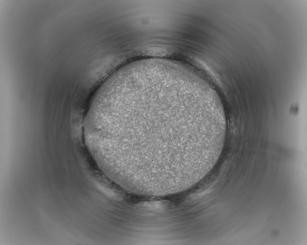 X0000091530307200709141441