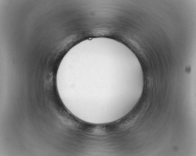 X0000091530308200709141441