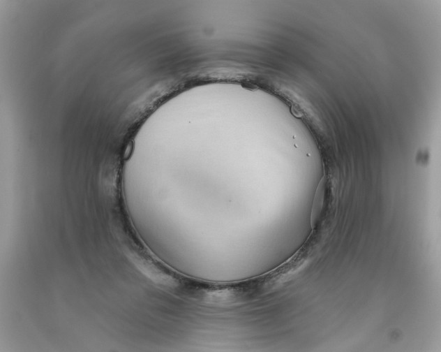 X0000091530309200709141441