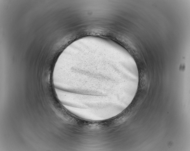 X0000091530310200709141441