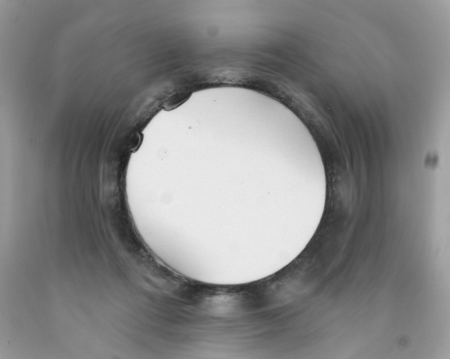 X0000091530312200709141441