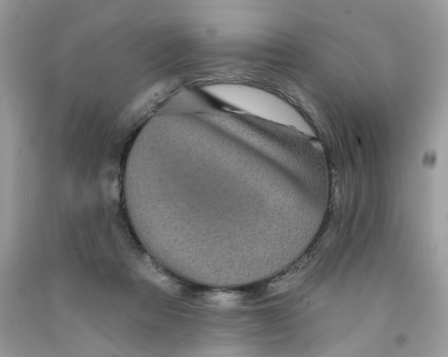 X0000091530313200709141441