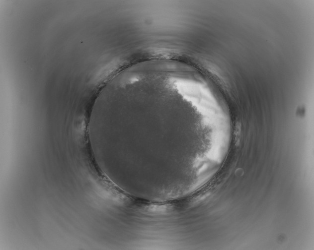 X0000091530314200709141440
