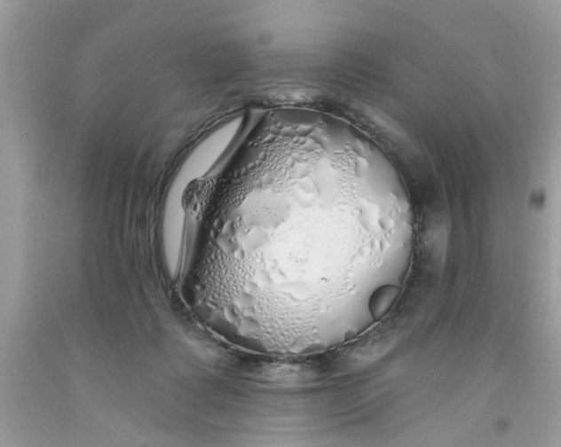 X0000091530315200709141440