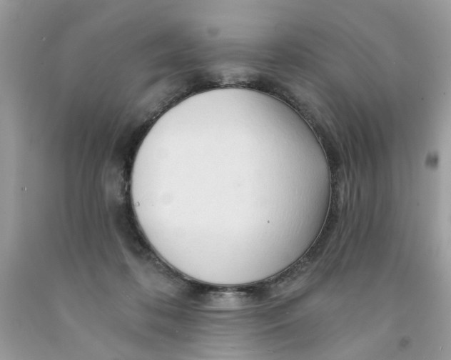X0000091530316200709141440