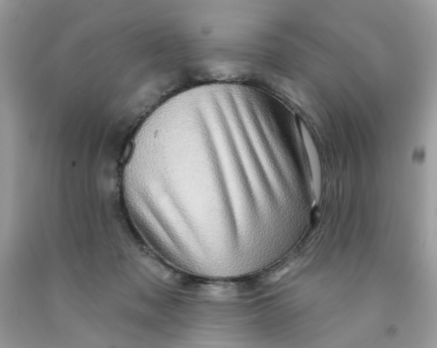 X0000091530317200709141440