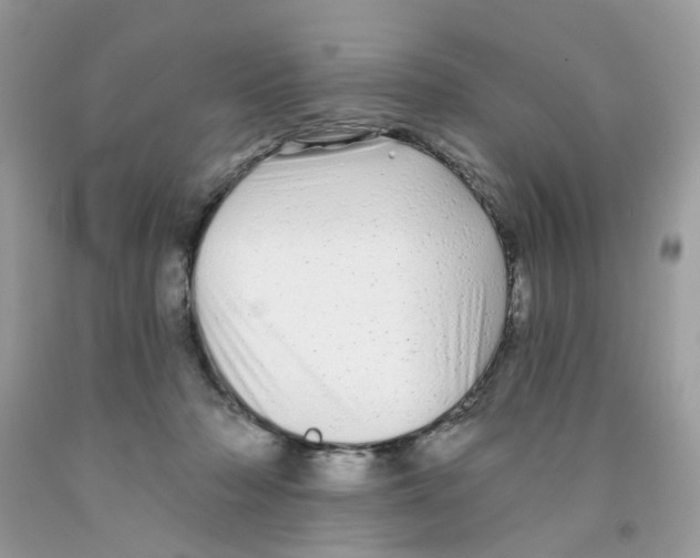 X0000091530318200709141440