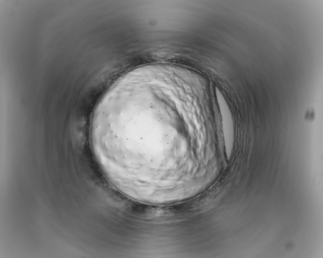 X0000091530319200709141440
