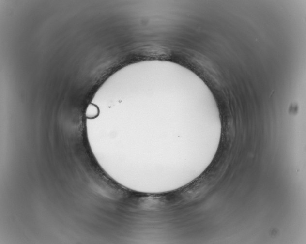 X0000091530320200709141440