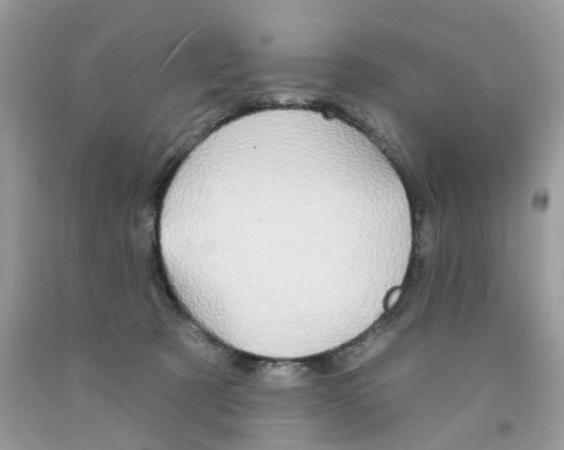 X0000091530321200709141440