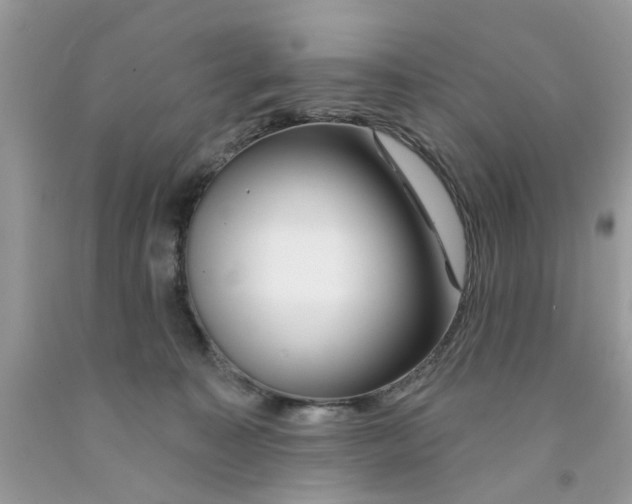 X0000091530323200709141440