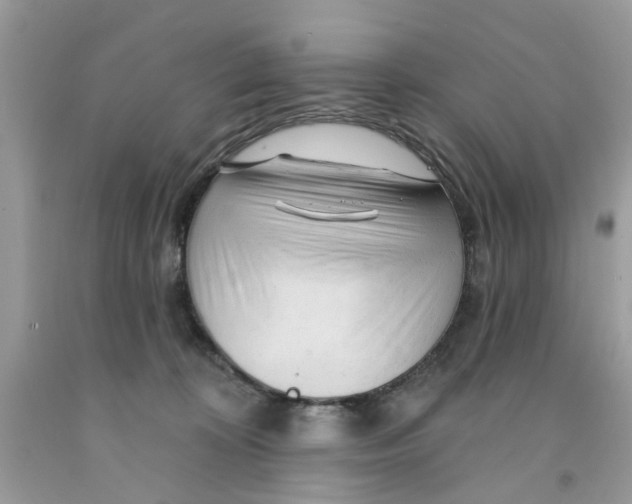 X0000091530324200709141440
