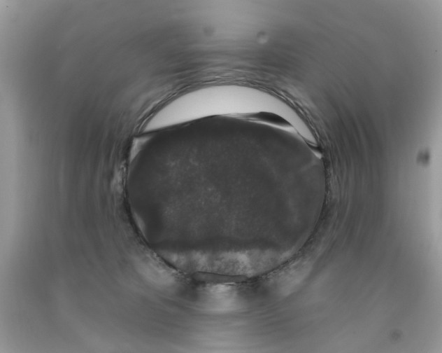 X0000091530325200709141440