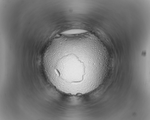 X0000091530326200709141440