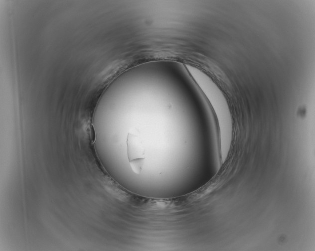 X0000091530329200709141440