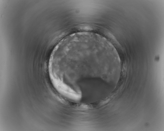 X0000091530330200709141440