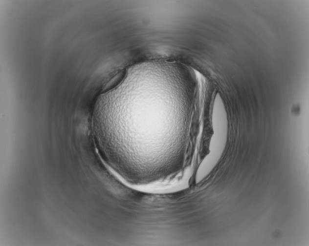 X0000091530331200709141440