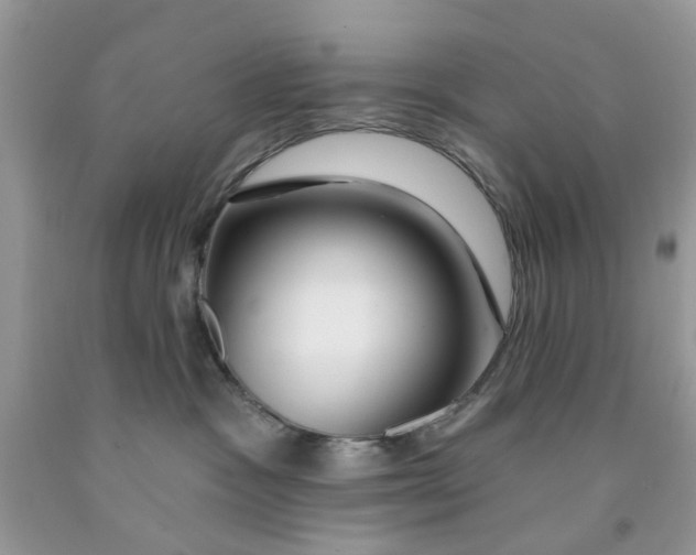X0000091530333200709141440