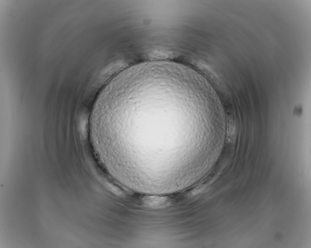 X0000091530334200709141440