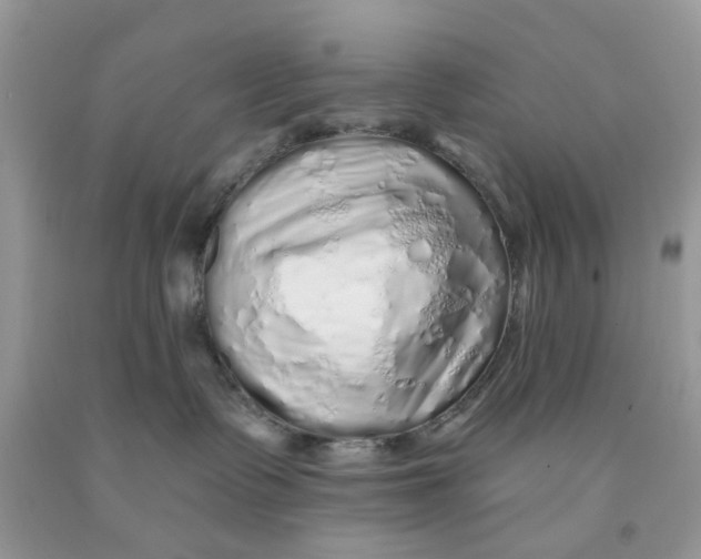 X0000091530335200709141440