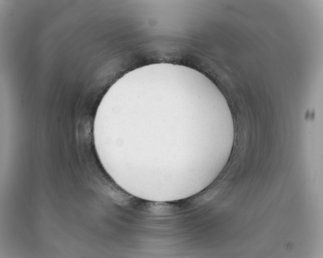 X0000091530336200709141440