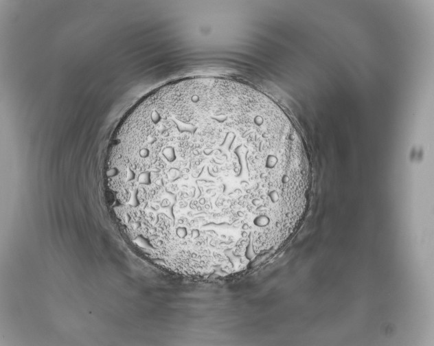 X0000091530337200709141439