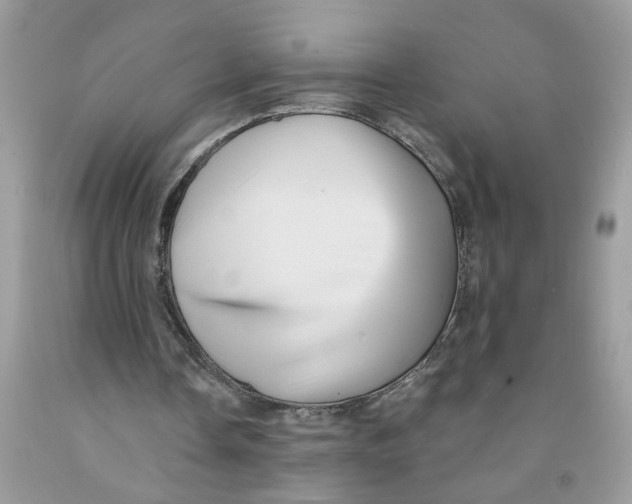 X0000091530338200709141439