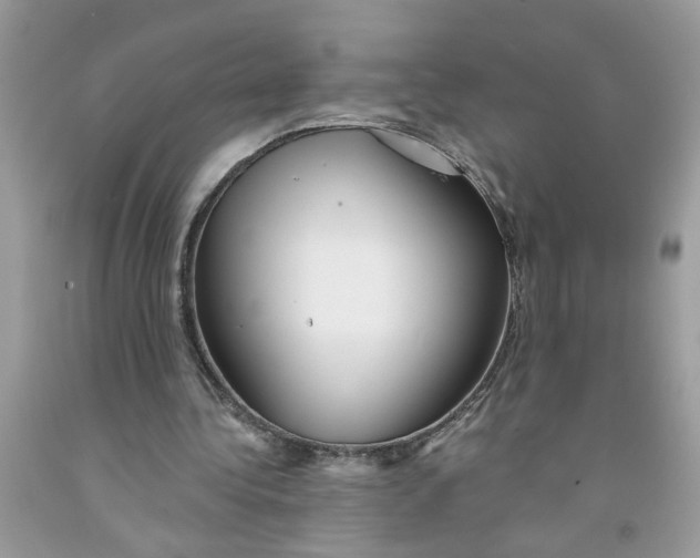 X0000091530340200709141439